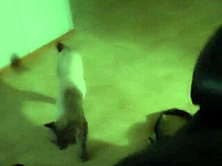 i'm a married bbw slut craving another man's cum in my pussy at the wedding