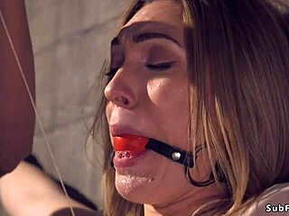 Brunette in bondage after blind date gets anal pain