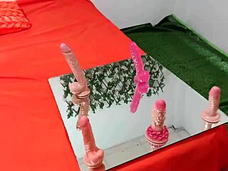 Dirty Latina Flashes Cock In Sexology Class