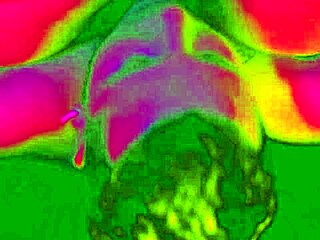 bbw girlfriend enjoys rough foot sex with natural tits and fat ass