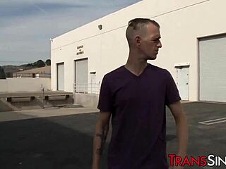 sexy stockings tranny in gloryhole scene