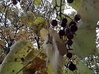 Our autumn romantic sex in a hut with lesbian illusion girls