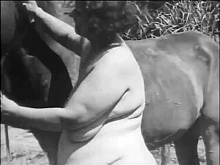 Dark Lantern Entertainment presents Beauty and the Beast!