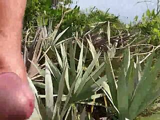 CLITLICKER662 - NAKED FLASHING IN PUBLIC FOR VOYEURS