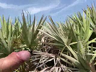 CLITLICKER662 - NAKED FLASHING IN PUBLIC FOR VOYEURS