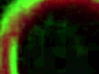 akira lane's personal yoga routine