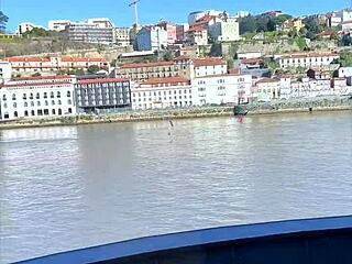 intense pov fucking in horny positions