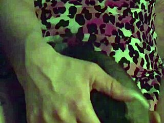 Fuschia Leopard Series Episode S4