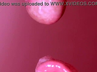 Unexpected encounter in Japan leads to close-up blowjob