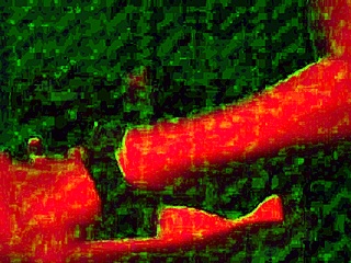 Paguei boquete a noite toda