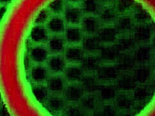 Rome Major, cover her face with cum!