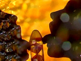 Vintage Striptease Leads To Lesbian Licking Between Blonde And Brunette