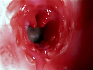 浪漫做爱中肛门大高潮，呻吟销魂，精液满满