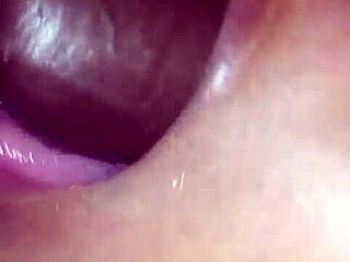 Young Wife's Secret Love for Black Cocks Revealed