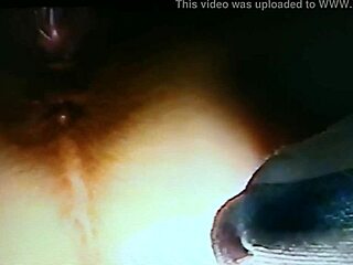 Blindfolded wife gets fucked with dildo