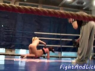 European dykes wrestle on the floor.