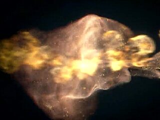 babe janet enjoys hard fucking with monster cock