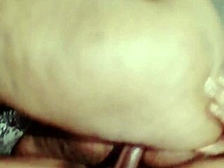 Sundaydogood614 shares update 965 video from april 12 2025.