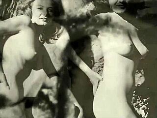 do you like hairy vintage pussy?