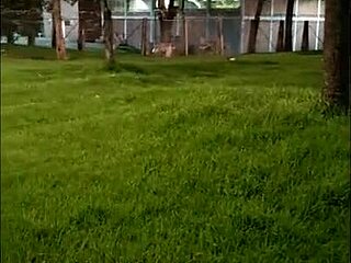 incredible, i got lost and found a pretty young girl