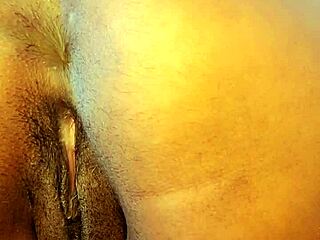 lambe meu cuzinho sem frescura vai