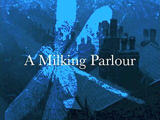 dark lantern entertainment presents the dragonfly freddie