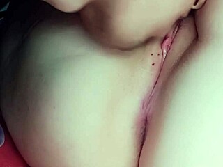 Close up pink pussy stepsister sucking and licking until orgasm 😍