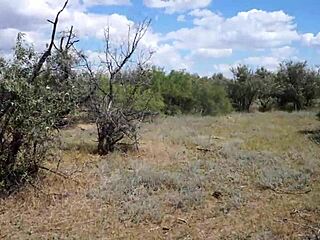 savannah vixen shows off outdoors