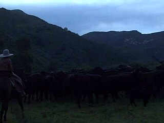 Brooke Ballentyne fucks the ranch hand outdoors!