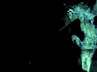 The wonderful world of vintage threesomes features lesbian pussy play.