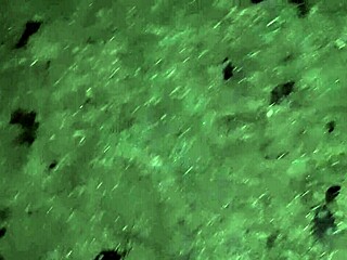 Village girl masturbates wildly in freezing barn!