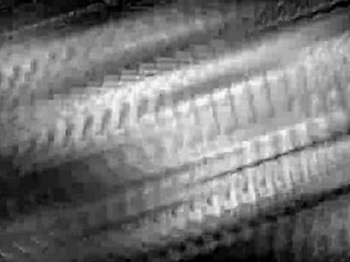 Vazou Eu Mamando O Qzl With Big Ass Blowjob And Cumshot On Redhead!