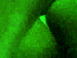 This tight wet hairy big booty bbw shakes her fat ass casually in a solo display