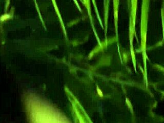 Finding a stunning Indian beauty