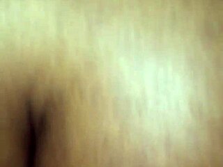 subtle trade of black shemale ass fucking in tampa