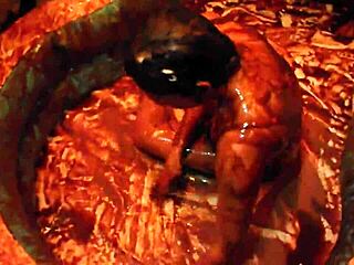 king cures hosts chocolate wrestling olympics movie with models