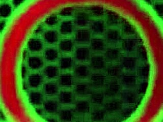 Shemale Fuck Domination