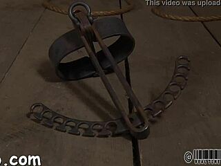 The unique video identifier code is xv-31fdc9ef0422e548c16ee104e30c9ae3