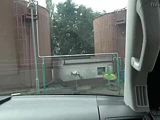 hey, can this picked up blondie really give her muff in doggy and moan that loud outdoors?