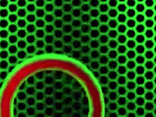 Oh yeah I just stuck this vibrator deep in my mature cunt and now I'm cumming so hard from it.