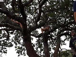 i shoved my cock into blonde and brunette up on tree in street. watch full vid xvideos red emi rippi