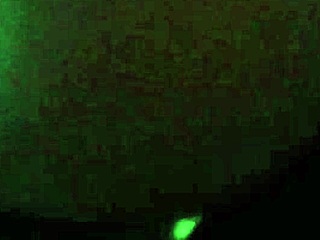 portuguese milf takes intense anal pounding in amateur european session with rough assfucking and deep penetration