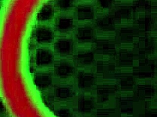 מקסיקנית קטנה שרי פלט מתלהבת לרכב על זין ענק של רום מייג'ורס