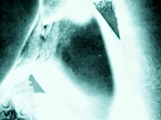 Vintage Erotic Drawings Of Hairy Beaver And Pussy In Retro Style