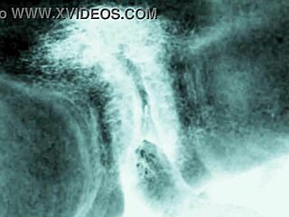 Vintage Erotic Drawings Of Hairy Beaver And Pussy In Retro Style