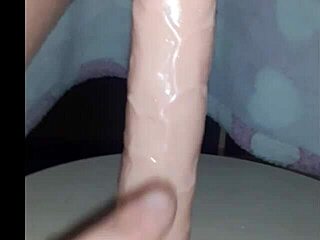 Vicio8586 Update 4 Couple Bets 2024