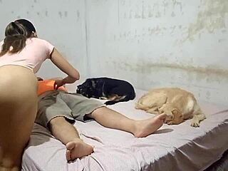 Peruvian bailarina still wants to move so she decides to do it on her cousin's polla with big ass blowjob doggystyle fucking. She gives sentones that leave him seco in wet pussy hardcore sex.