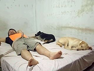 Peruvian bailarina still wants to move so she decides to do it on her cousin's polla with big ass blowjob doggystyle fucking. She gives sentones that leave him seco in wet pussy hardcore sex.