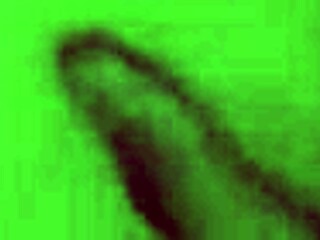 Stepmom Shares Bed With Stepson For Wet Orgasm Creampie