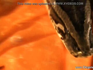 i'm lost in these dancing erotic dreams with my asian girlfriend showing off her moves